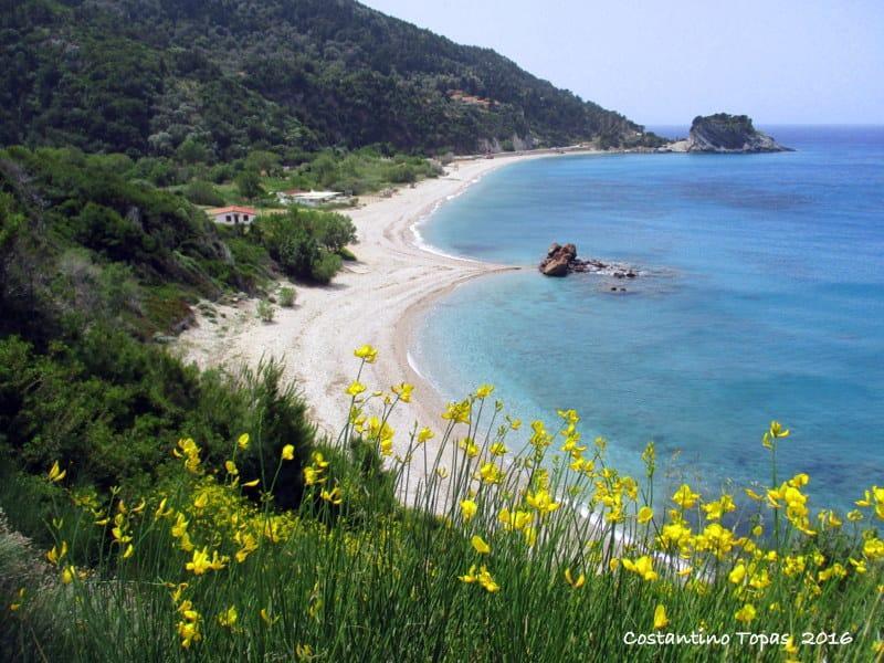 Samian Mare Hotel, & Отель 4*